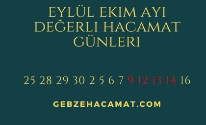 AIYIN DEĞERLİ GÜNLERİ