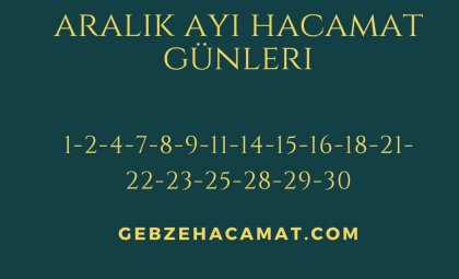 AIYIN DEĞERLİ GÜNLERİ