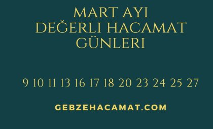 AIYIN DEĞERLİ GÜNLERİ