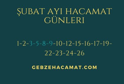 AIYIN DEĞERLİ G&Uuml;NLERİ