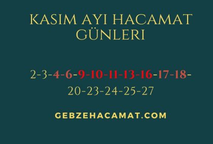 AIYIN DEĞERLİ GÜNLERİ