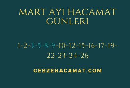 AIYIN DEĞERLİ G&Uuml;NLERİ